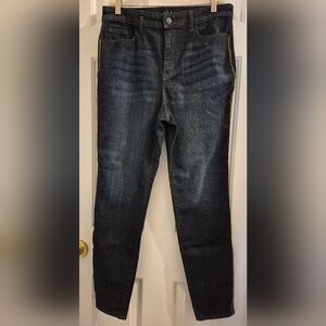 Style & Co. Woman's Dark Wash Skinny Jeans